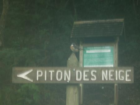 Le Fameux Piton des Neiges